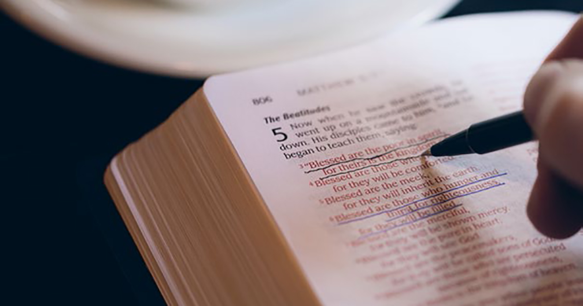 The Role of Scripture in Spiritual Growth: A Guide to Bible Study image